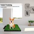 Pet Grass Training Potty Online now