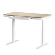 Artiss Standing Desk Motorised Electric Dual Motor Draw 120CM Oak Online