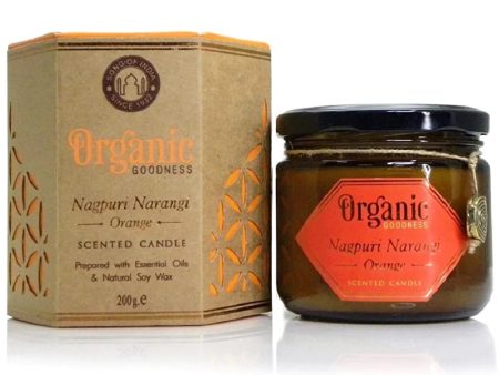 Organic Goodness Orange Candle | 60hr Burn Time Online Sale