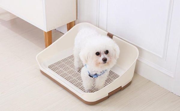 Portable Dog Potty Training Tray with Wall - Brown (Medium) Supply