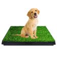 Pet Grass Training Potty Online now