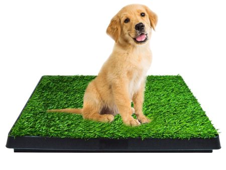 Pet Grass Training Potty Online now