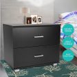 Sarantino Bedside Table Cabinet Storage Chest with 2 Drawers (Black) Supply