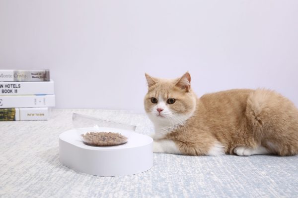 Fresh Nano-15 Adjustable Cat Feeding Bowl - Single Online