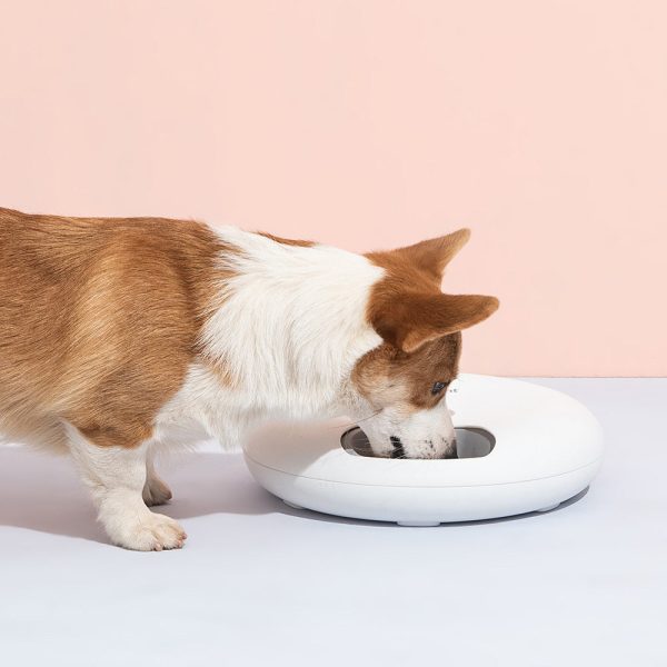 Automatic Pet Feeder w  Programmable Timer | Pink (6 Meals) on Sale