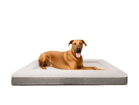 Orthopedic Dog Bed - XL Ortho Online