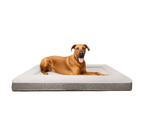 Orthopedic Dog Bed - XL Ortho Online