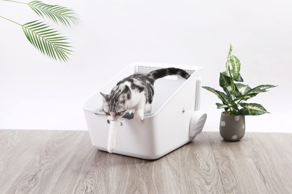 Pura Cat Litter Box Online Sale