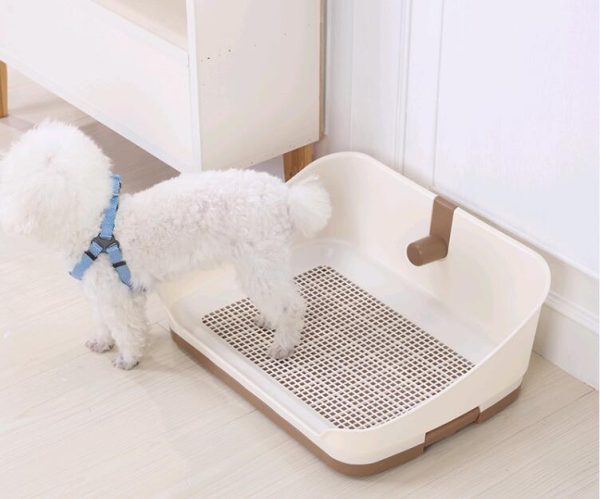 Portable Dog Potty Training Tray with Wall - Brown (Medium) Supply