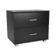 Sarantino Bedside Table Cabinet Storage Chest with 2 Drawers (Black) Supply