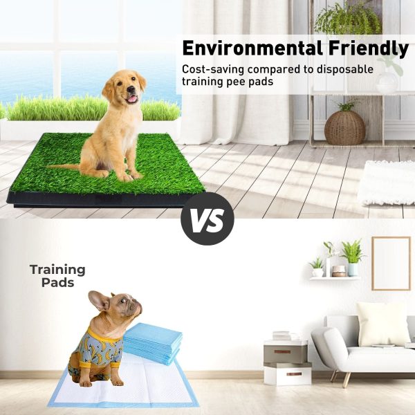 Pet Grass Training Potty Online now