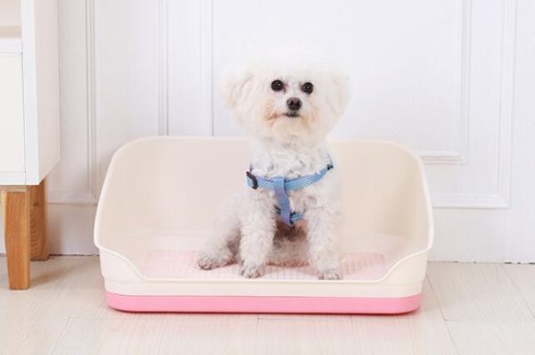 Portable Dog Potty Training Tray with Wall - Pink (Medium) Fashion